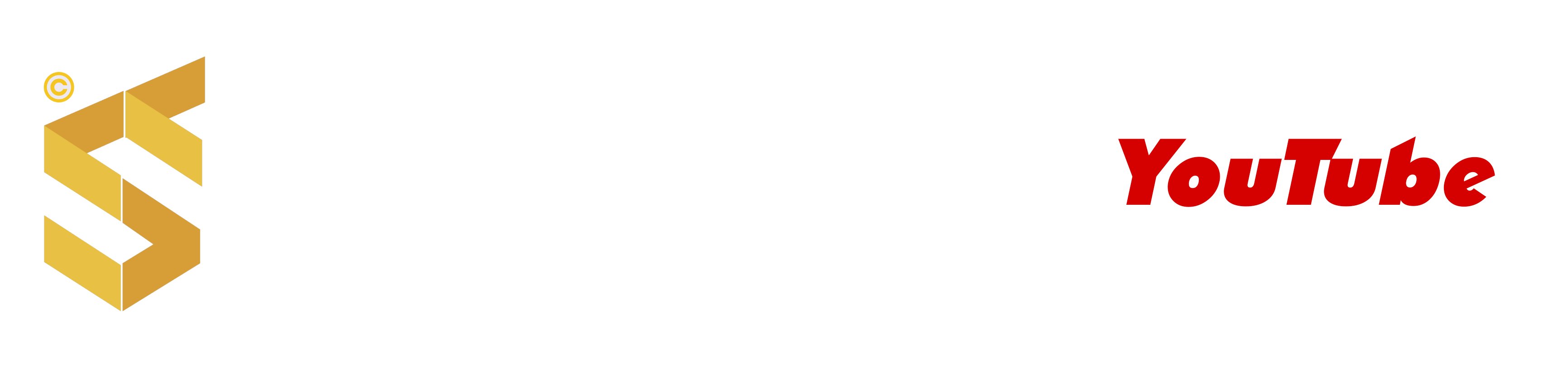 Logo Trần Sỹ Tâm